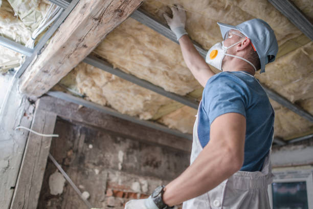 Best DIY Insulation Kits and Guidance in Norristown, PA